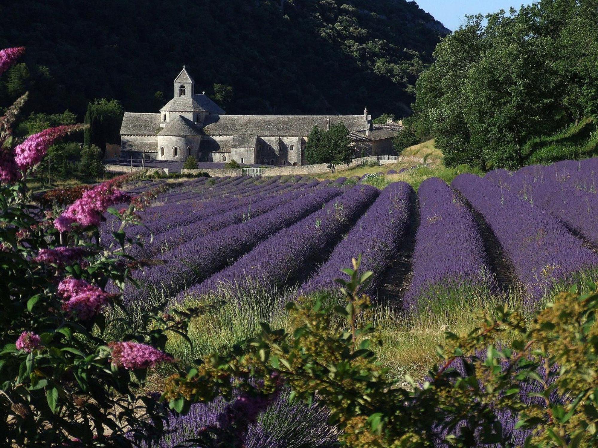 Vila La Calvinette Pernes-les-Fontaines Exteriér fotografie